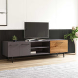 Volga 2 Doors Tv Stand with Drawer &amp; Shelf